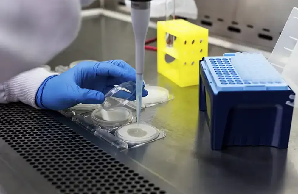 Pipeta con muestra en un laboratorio