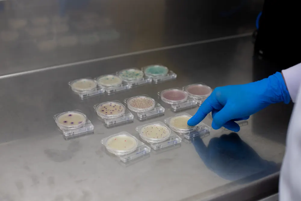 Laboratorio moderno con placas Compact Dry
