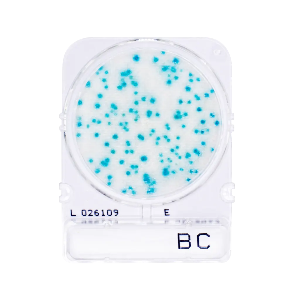 Compact Dry BC