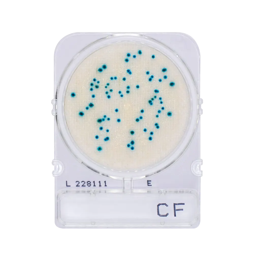 Compact Dry CF