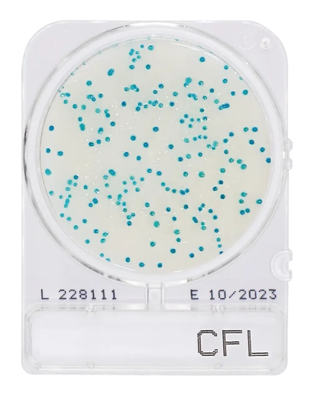 Compact Dry CFL
