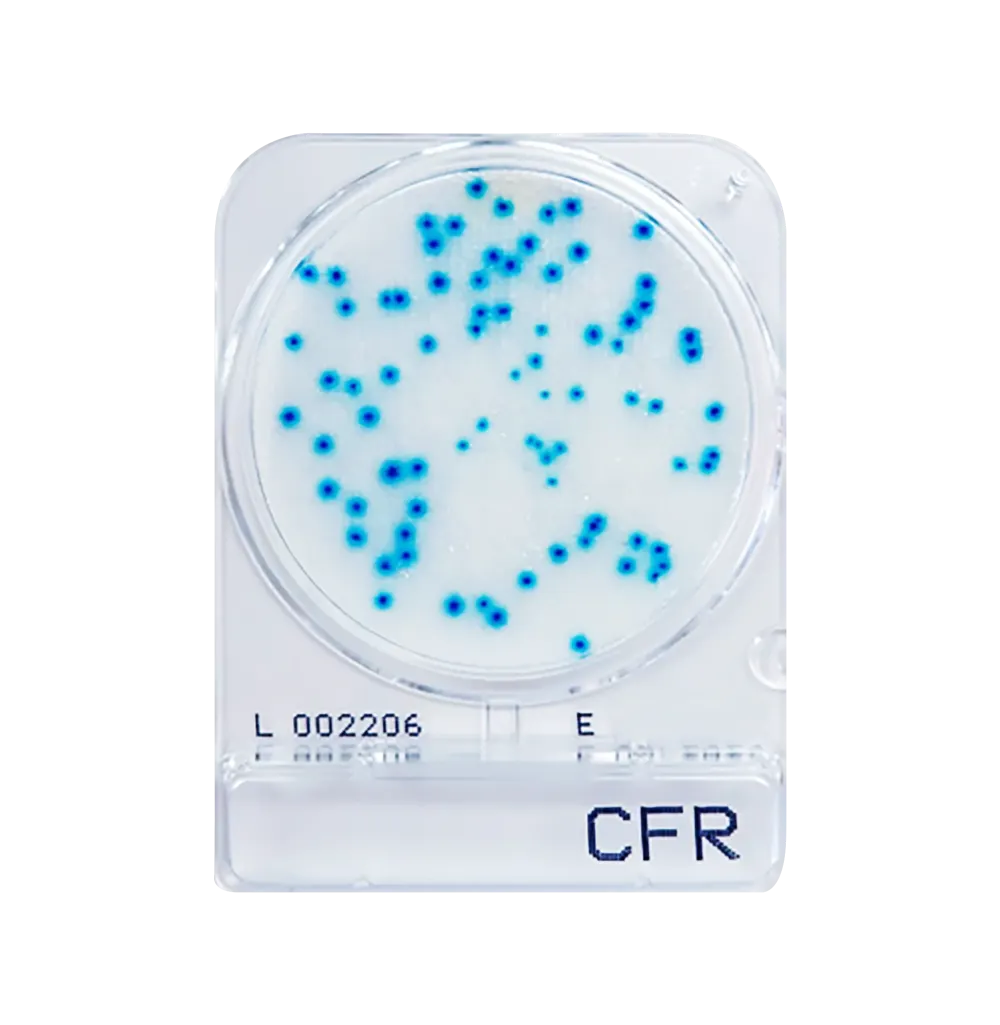 Compact Dry CFR