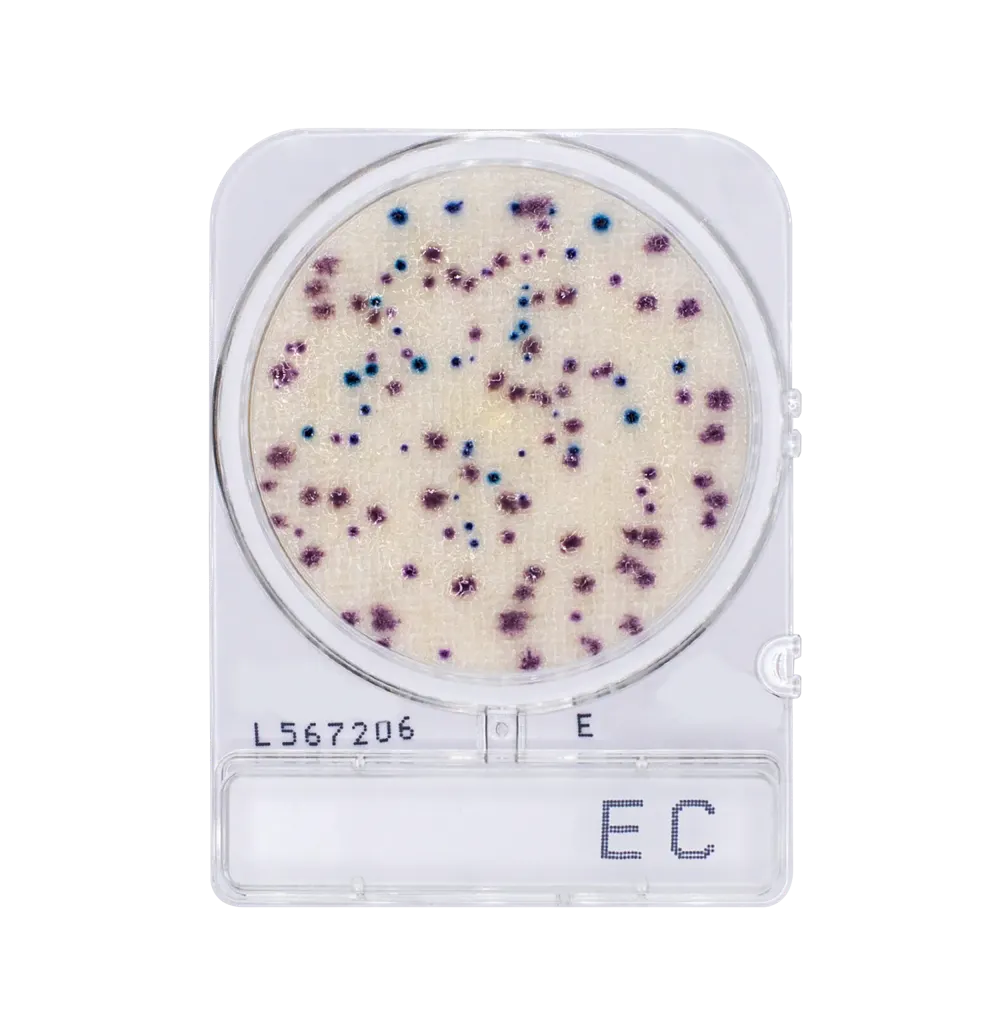 Compact Dry EC