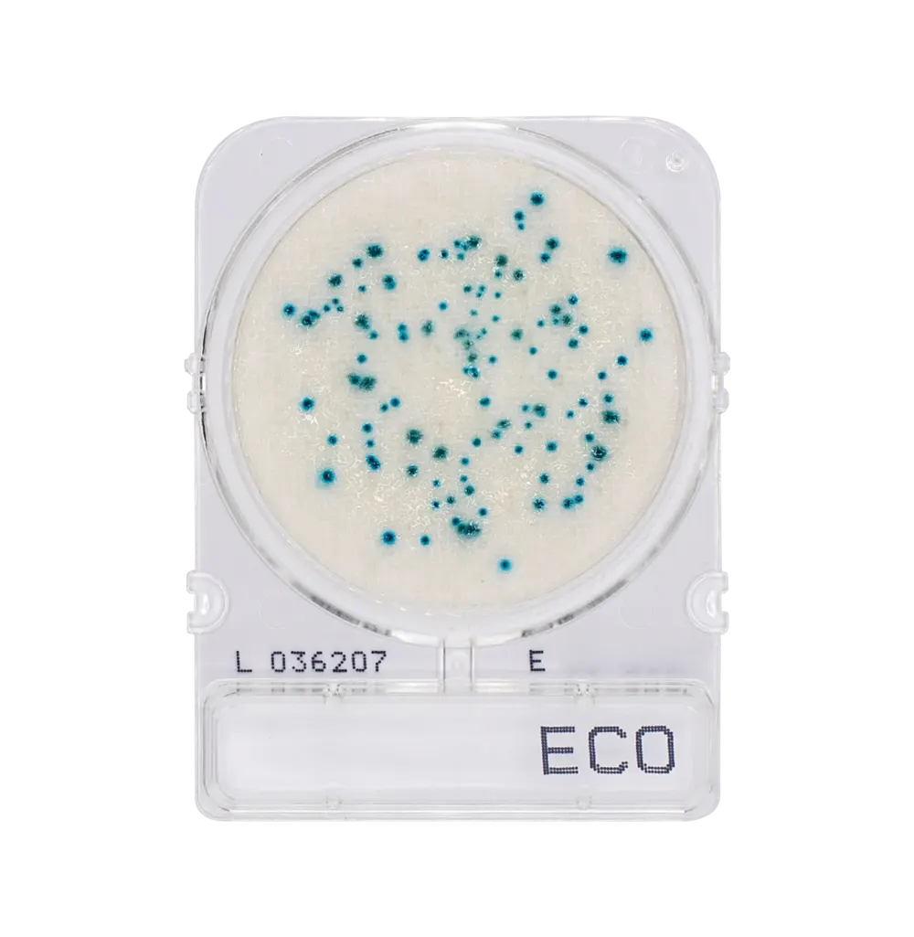 Compact Dry ECO