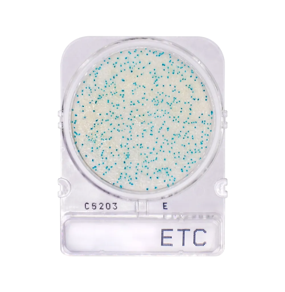 Compact Dry ETC