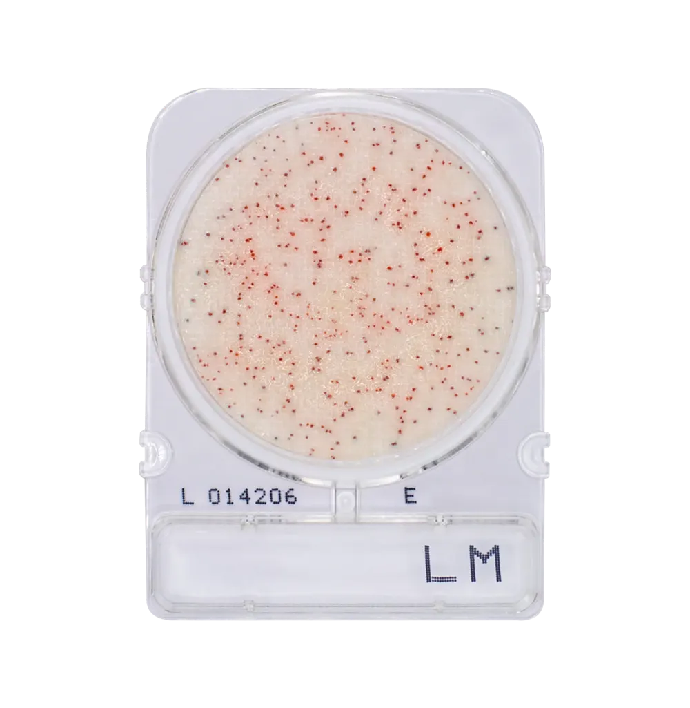 Compact Dry LM