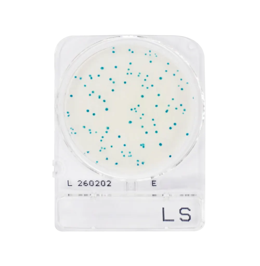 Compact Dry LS