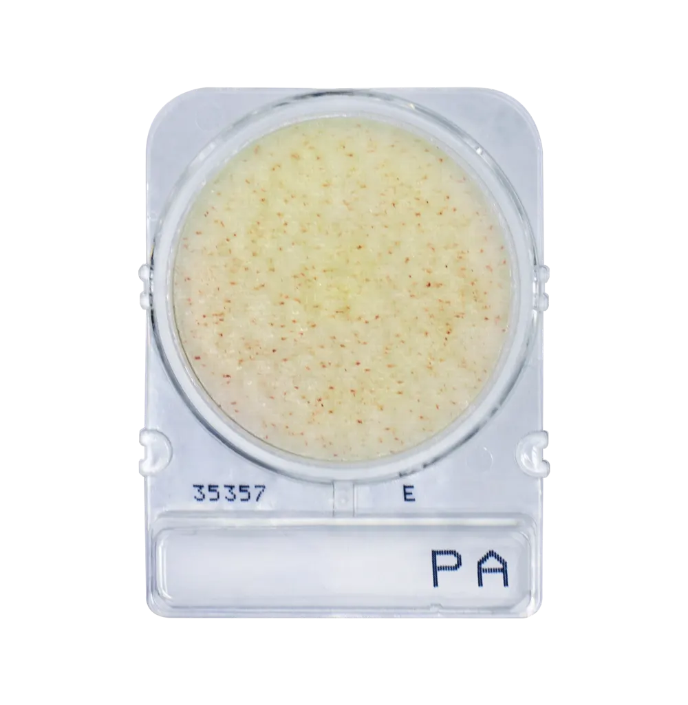 Compact Dry PA