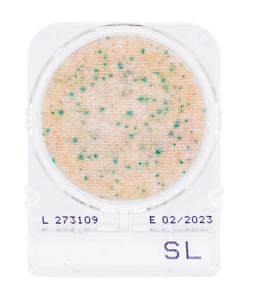 Compact Dry SL