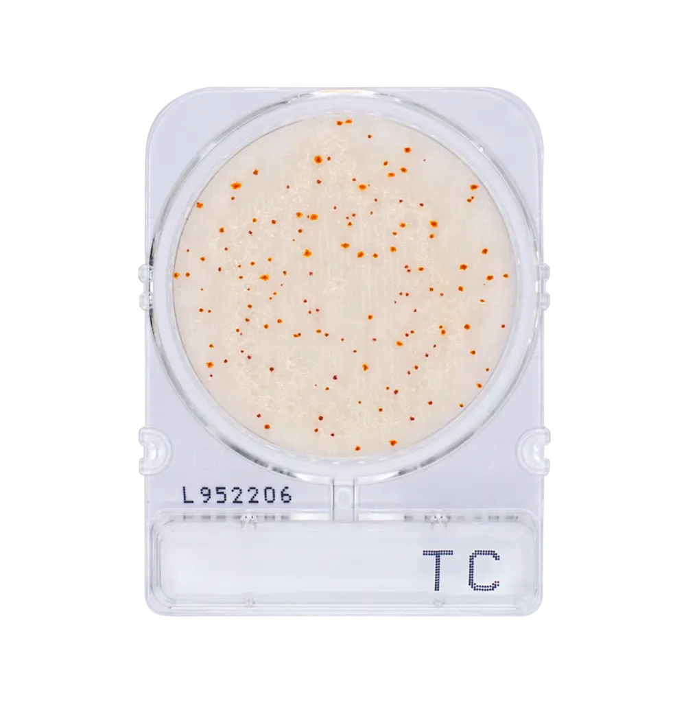Compact Dry TC