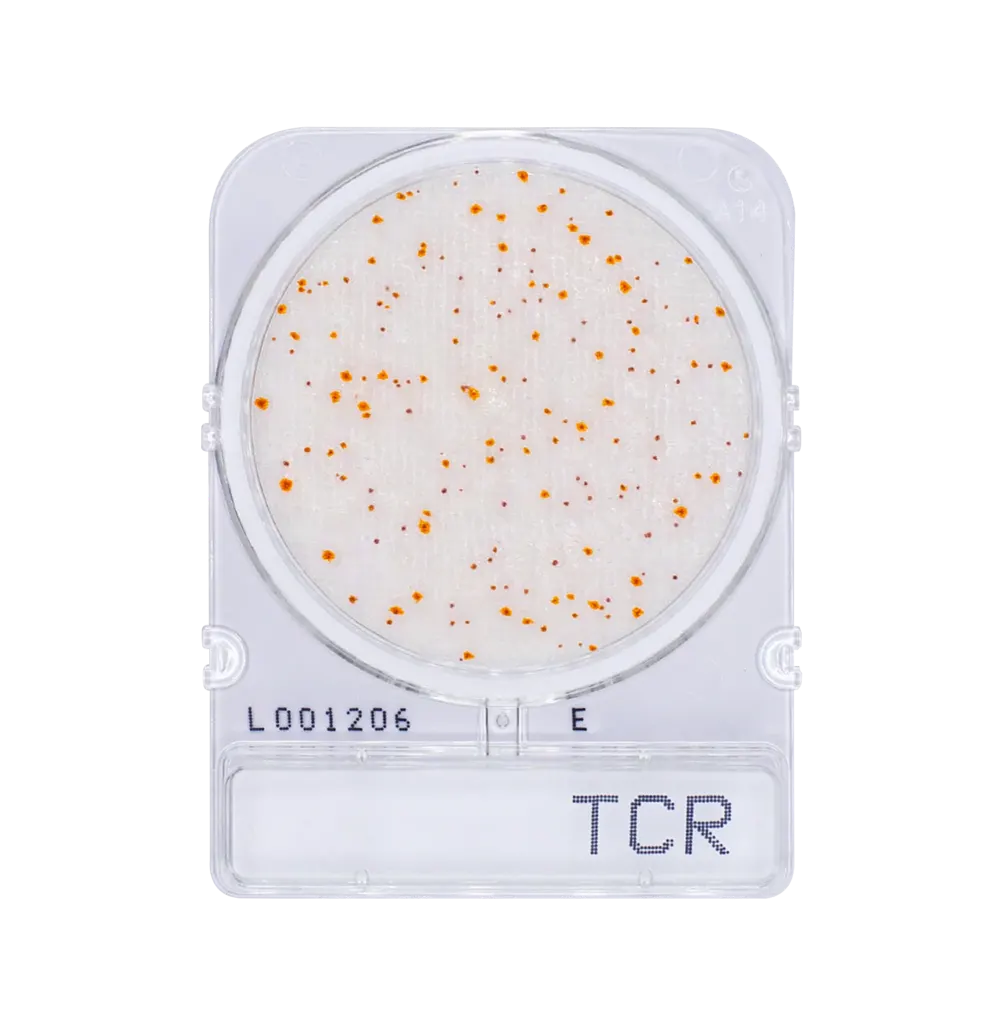 Compact Dry TCR