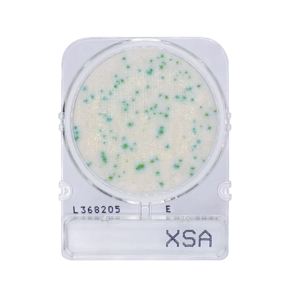Compact Dry XSA
