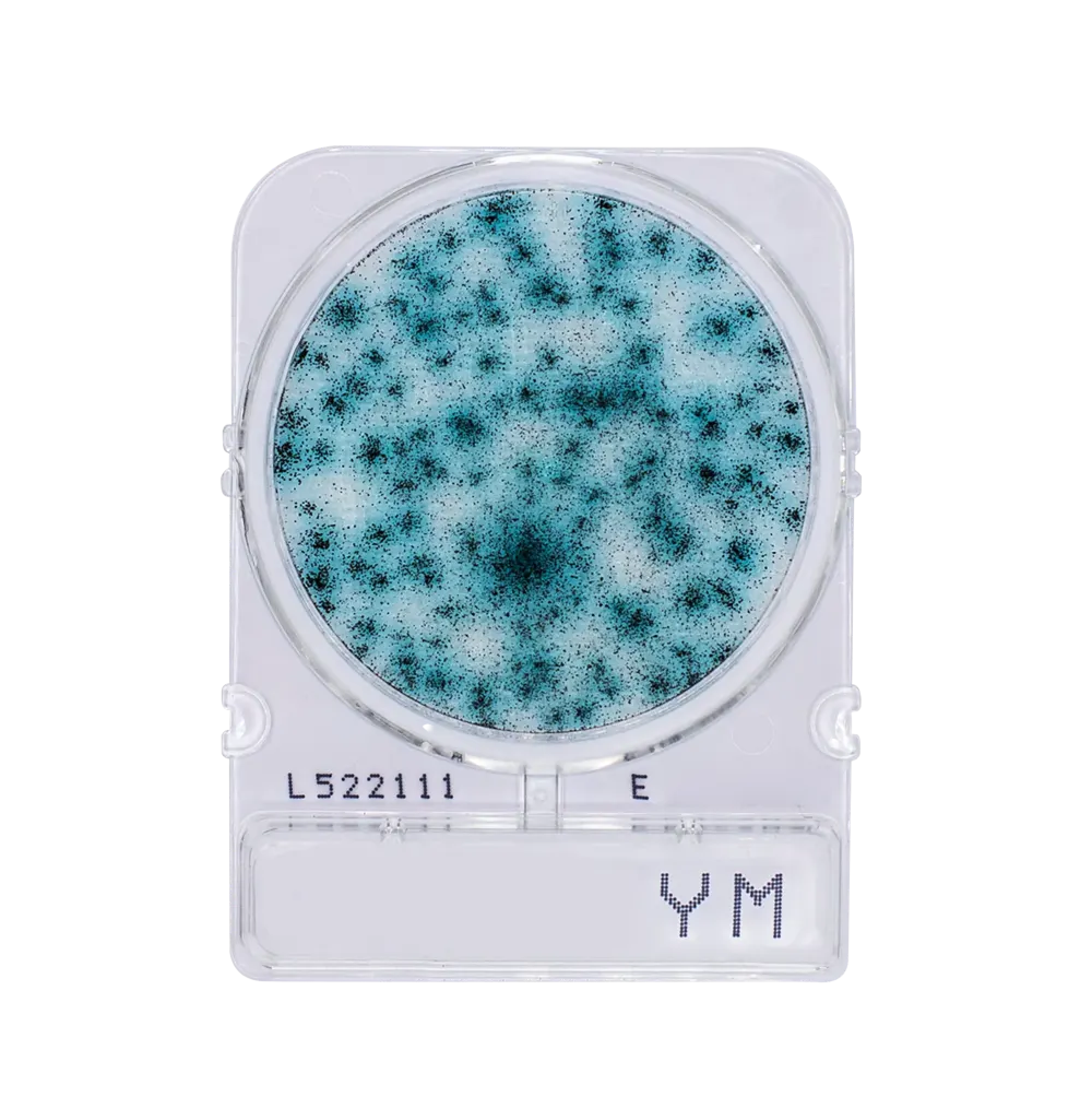 Compact Dry YM