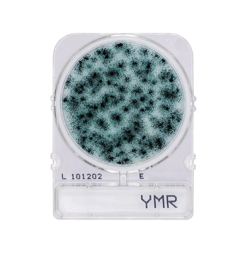 Compact Dry YMR